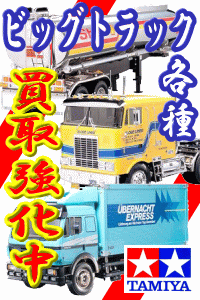 �^�~���r�b�O�g���b�N�e�픃�拭������