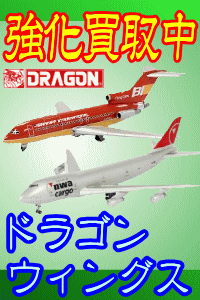 �h���S���E�B�C���O�X�@�����拭�����@