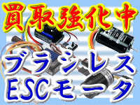 �u���V���XECS���[�^�@�����拭����