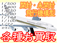 �J���E���J���i��s�@�͌^�e�킨����