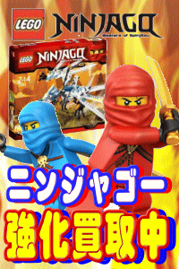 �j���W���S�[�@�������撆�ł�