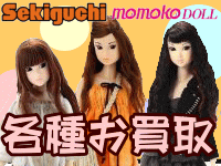 �Z�L�O�`�@�����R�h�[���e�킨����