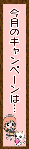 今月のキャンペーン