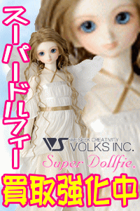 �{�[�N�X�@SD�@�X�[�p�[�h���t�B�[�e��@�����拭��