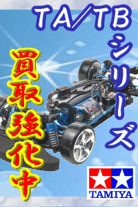 �^�~���s�`/�s�a�V���[�Y�������撆