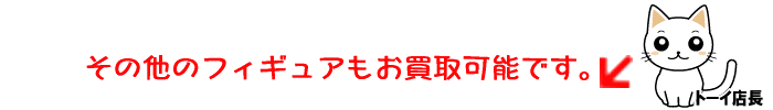 ���̑��̃t�B�M���A��������\�ł��B