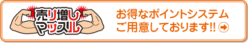 �����ȃ|�C���g�V�X�e�����p�ӂ��Ă���܂�