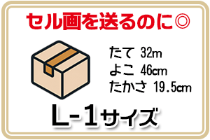 セル画サイズ