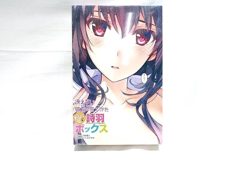 抱き枕カバー 高価買取