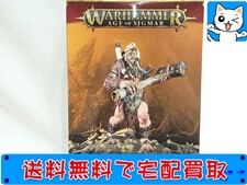 買取 ウォーハンマー AGE of SIGMAR ウォーハンマー サン オヴ ベヘマット キング・ブロッド