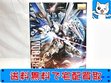 ガンプラ PG ストライクフリーダムガンダム 