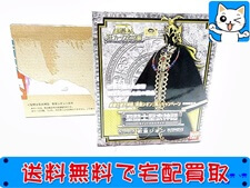 聖闘士聖衣神話 教皇シオン 特別限定品  冥王ハーデス十二宮編