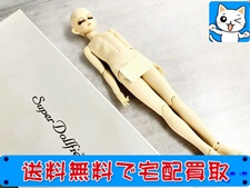 フルチョイス　男性　F-51