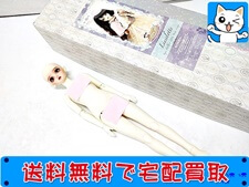 高価買取 スーパードルフィー(SD) リーゼロッテ SD20thアニバーサリー(未開封) ドール