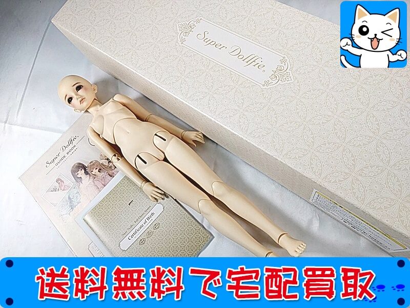 SD スーパードルフィー 女の子 フルチョイス スキン SC-01/ヘッド SD-F-56 買取