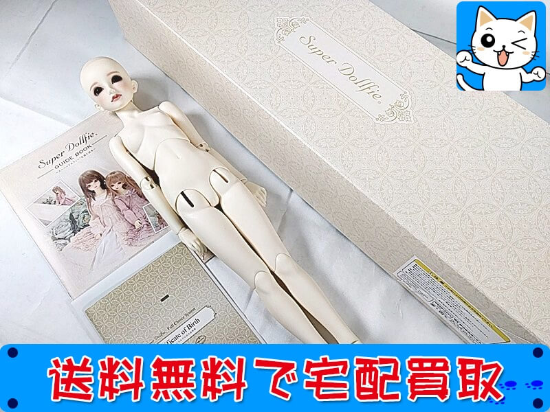 SD スーパードルフィー 女の子 フルチョイス スキン SC-02/ヘッド SD-F-56 買取