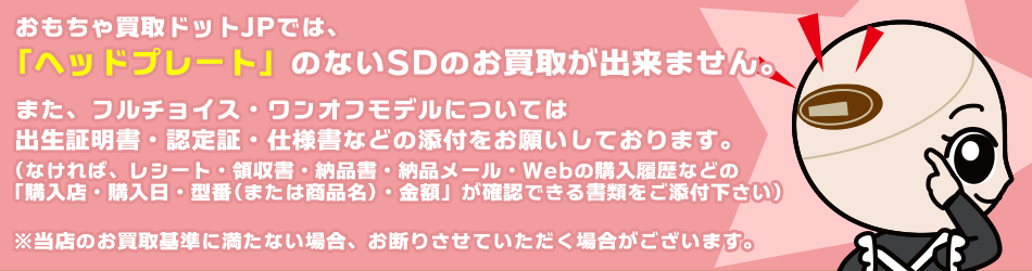 SD、フルチョイス、ワンオフモデル他の買取において必要なもの