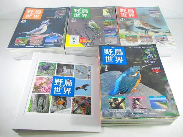 デアゴスティーニ 週刊 野鳥の世界 100号セット 