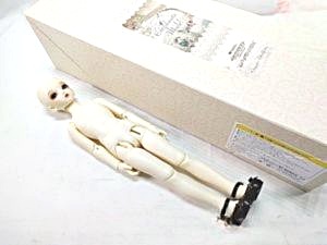 SD コーディネートモデル SDM F-33 PSホワイト 買取実績