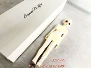SDM天使 白蓮 白雪Ver 買取実績