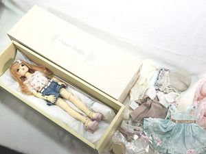 SD スタンダードモデル まこ Mako 買取実績