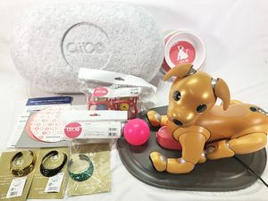 ホビーロボット SONY aibo ERS-1000 買取実績