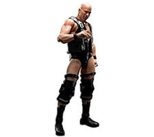 S.H.フィギュアーツ WWE ストーン・コールド