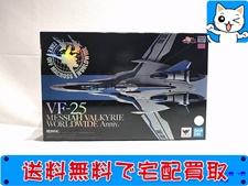 DX超合金 マクロスF VF-25 メサイアバルキリー WORLDWIDE Anniv. 2606483