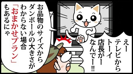 適切なサイズや量がわからない場合におすすめ、おまかせプランもあります